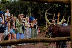 Pic-53-Tangen-High-School-Students-Meeting-Inyambo-Cows