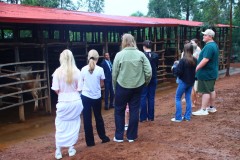 Pic-97-Tangen-School-Touring-RCCS1